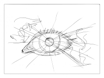 l'Oeil